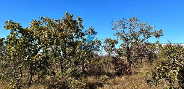 Terreno / Lote / Condomínio à venda, 1000m² no Setor Lagoa Quente, Caldas Novas