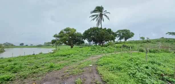 Fazenda / Sítio / Chácara com 11 Quartos à venda, 1000m² no , Pombos