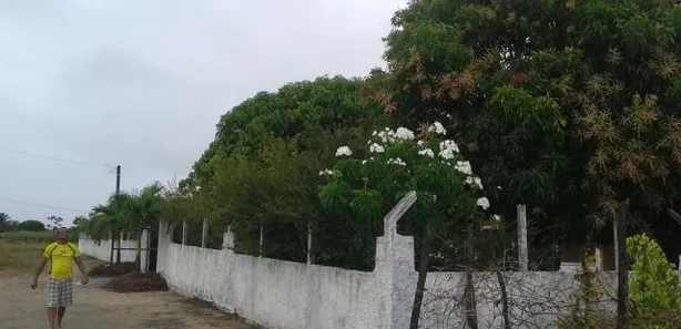 Fazenda / Sítio / Chácara com 1 Quarto à venda, 1800m² no , Conde