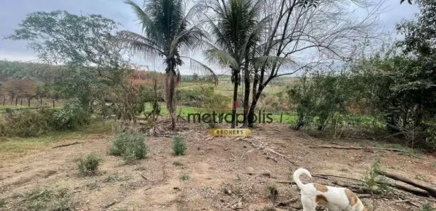 Fazenda / Sítio / Chácara com 6 Quartos à venda, 27000m² no Chácara São Benedito, Capivari