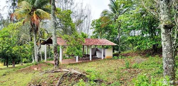 Fazenda / Sítio / Chácara com 3 Quartos à venda, 363000m² no , Rio Bonito