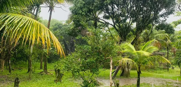 Fazenda / Sítio / Chácara com 4 Quartos à venda, 30000m² no Campo Alegre, Nova Iguaçu