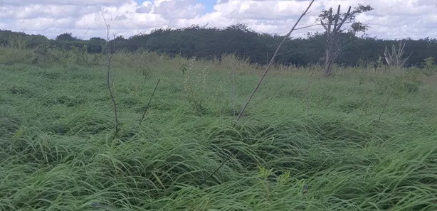 Fazenda / Sítio / Chácara à venda, 4500000m² no zona rural, Ielmo Marinho
