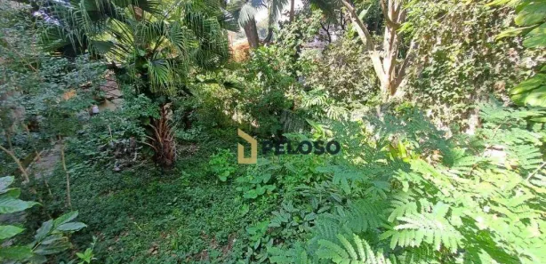 Terreno / Lote / Condomínio à venda, 500m² no Vila Albertina, São Paulo