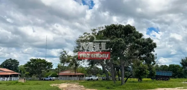 Fazenda / Sítio / Chácara à venda, 20000m² no , Paranã