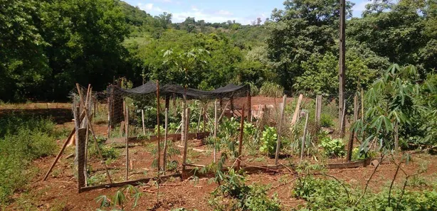 Fazenda / Sítio / Chácara com 1 Quarto à venda, 50m² no Condomínio Horizontal Marajoara, Ibiporã