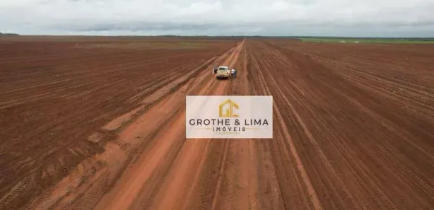 Fazenda / Sítio / Chácara com 10 Quartos à venda, 900m² no , Pedro Afonso