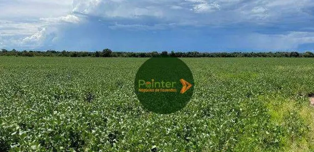 Fazenda / Sítio / Chácara à venda, 2740000m² no Área Rural de Gurupi, Gurupi