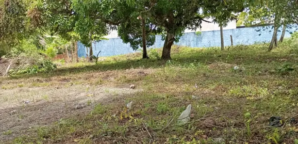 Terreno / Lote / Condomínio para venda ou aluguel, 2000m² no Cristo Rei, Dias d'Ávila