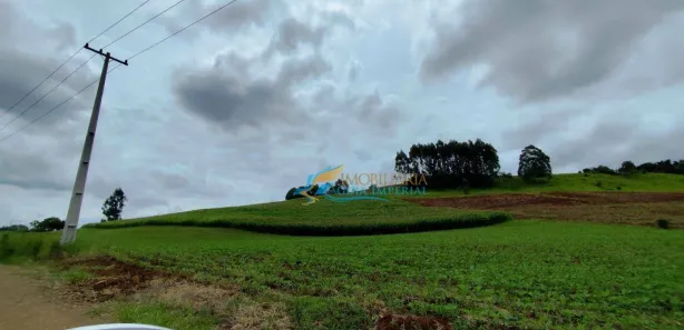 Fazenda / Sítio / Chácara à venda, 242000m² no , Guaraniaçu