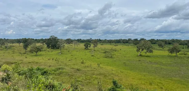 Fazenda / Sítio / Chácara com 3 Quartos à venda, 12899920m² no Setor Central, Divinópolis do Tocantins