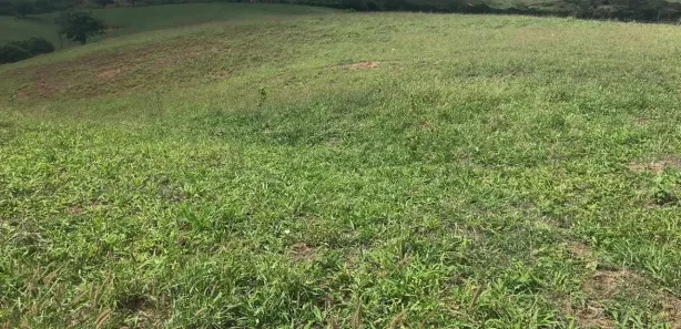 Fazenda / Sítio / Chácara à venda, 160000000m² no , Areia