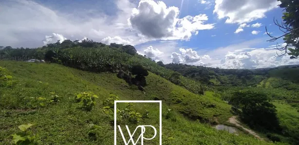 Fazenda / Sítio / Chácara à venda, 25000m² no , Bananeiras