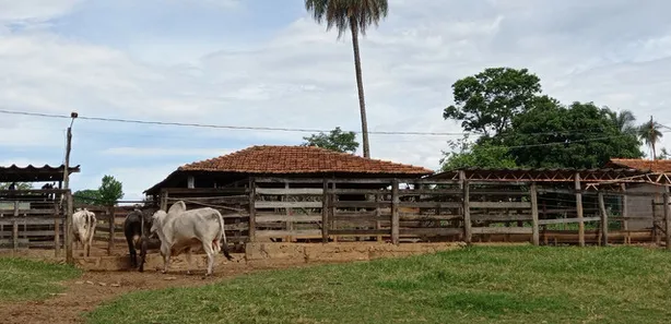 Fazenda / Sítio / Chácara à venda, 280000m² no Setor Bosque, Formosa