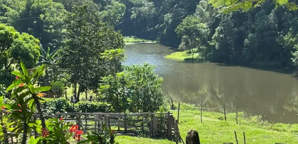 Fazenda / Sítio / Chácara com 3 Quartos à venda, 121000m² no Residencial Porta do Sol, Mairinque