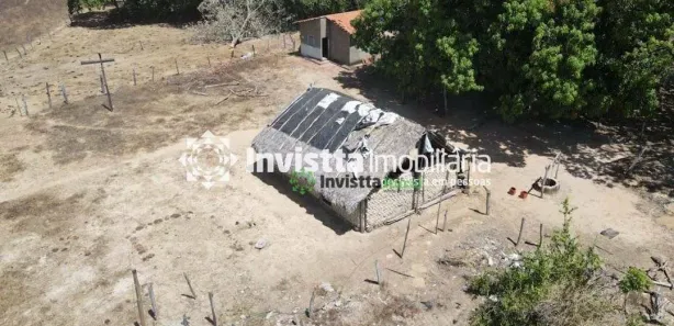 Fazenda / Sítio / Chácara à venda, 344m² no Centro, Pium