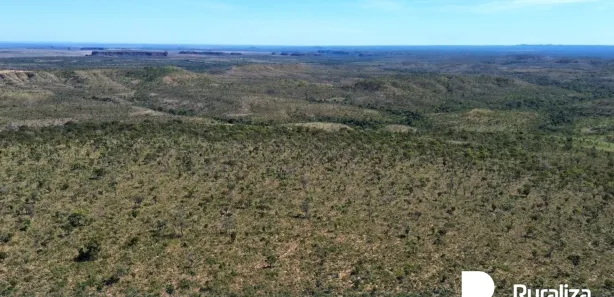 Fazenda / Sítio / Chácara à venda, 4453m² no , Ponte Alta do Tocantins