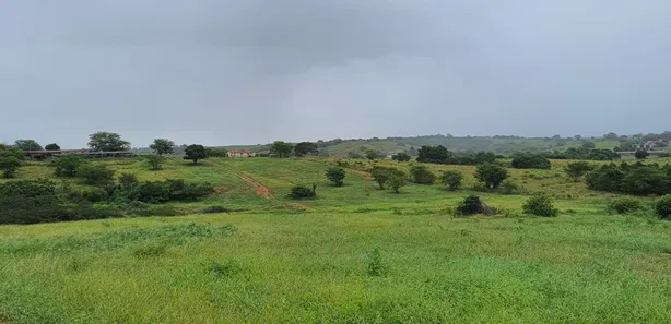 Fazenda / Sítio / Chácara com 4 Quartos à venda, 5500000m² no Centro, Ielmo Marinho