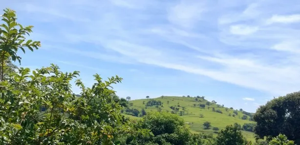Fazenda / Sítio / Chácara com 1 Quarto à venda, 5000m² no condomínio chácaras Itaúna, Ibiporã