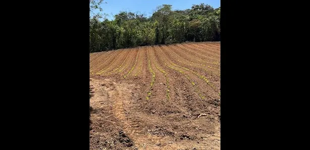 à venda, 81335m² no Jardim São Marcos, Itapevi