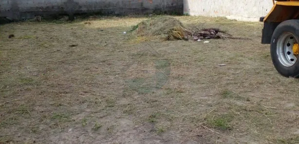 Terreno / Lote / Condomínio à venda, 230m² no Campo Redondo, São Pedro da Aldeia