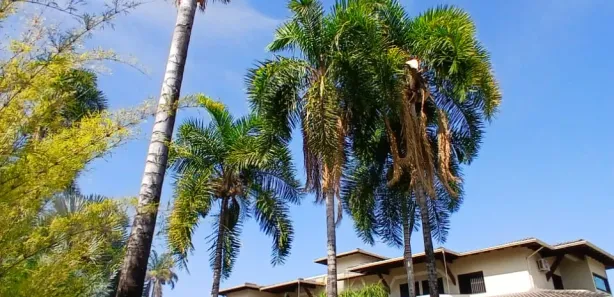 Casa de Condomínio com 7 Quartos à venda, 649m² no Park Way, Brasília