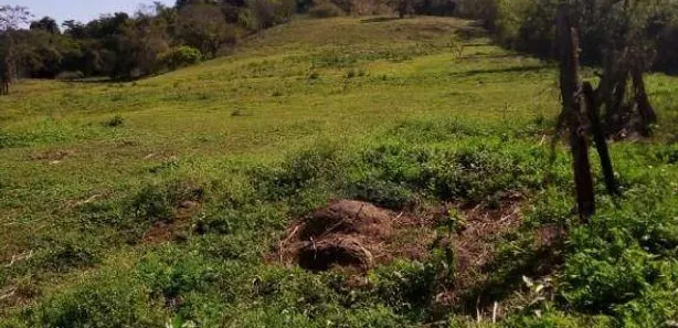 Terreno / Lote Comercial à venda, 24200m² no Pinheiro, Ibiporã