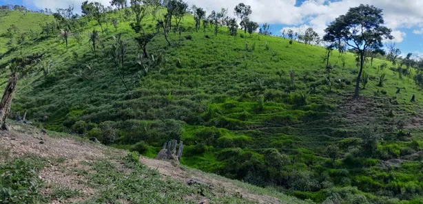 Fazenda / Sítio / Chácara com 3 Quartos à venda, 2565000m² no , Padre Bernardo