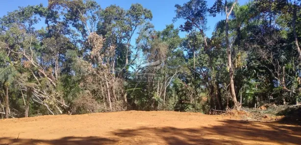 Terreno / Lote / Condomínio à venda, 44463m² no , São Pedro de Alcântara