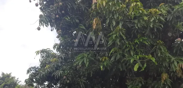 Fazenda / Sítio / Chácara com 2 Quartos à venda, 125m² no Parque Monte Bianco, Araçoiaba da Serra