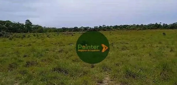 Fazenda / Sítio / Chácara à venda, 4410450m² no , Ponte Alta do Tocantins