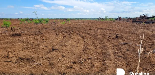 Fazenda / Sítio / Chácara à venda, 1480m² no , Cristalândia