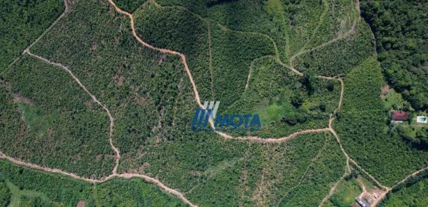 Fazenda / Sítio / Chácara com 3 Quartos à venda, 600m² no Antonina, Antonina