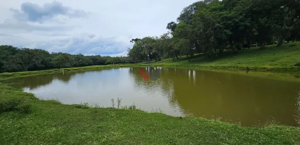 Fazenda / Sítio / Chácara com 6 Quartos à venda, 250m² no Área Rural de Araucária, Araucária