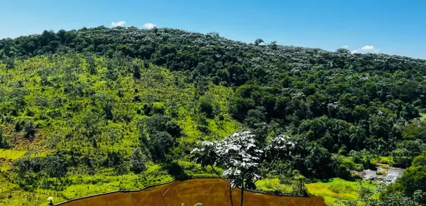 Fazenda / Sítio / Chácara com 3 Quartos à venda, 600m² no , Igaratá