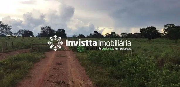 Fazenda / Sítio / Chácara à venda, 880m² no Jardim Paulista, Paraíso do Tocantins