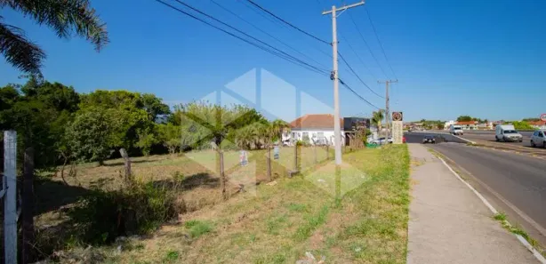 Terreno / Lote / Condomínio para alugar, 1502m² no Camobi, Santa Maria