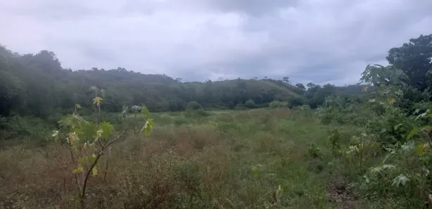 Fazenda / Sítio / Chácara à venda, 110000m² no Papucaia, Cachoeiras de Macacu