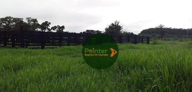 Fazenda / Sítio / Chácara à venda, 3660000m² no , Pedro Afonso