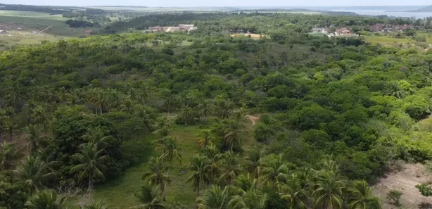 Fazenda / Sítio / Chácara à venda, 29709m² no , Marechal Deodoro