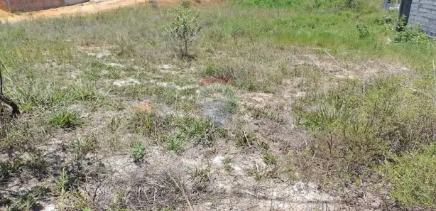 Terreno / Lote / Condomínio à venda, 280m² no Coqueiros de Arembepe (Abrantes), Camaçari
