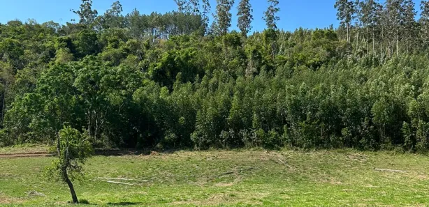 Fazenda / Sítio / Chácara com 2 Quartos à venda, 1000m² no Figueiras, Alumínio