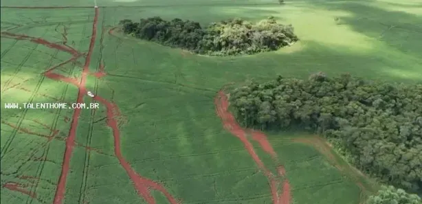 Terreno / Lote Comercial à venda, 192000m² no , Uraí
