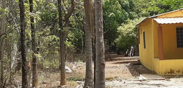 Fazenda / Sítio / Chácara com 2 Quartos à venda, 10000m² no Centro, Padre Bernardo