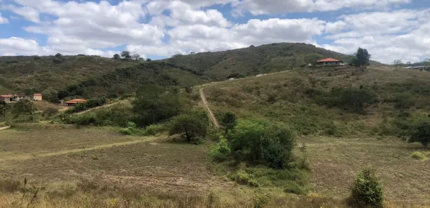 Fazenda / Sítio / Chácara com 3 Quartos à venda, 160000m² no Passira, Passira
