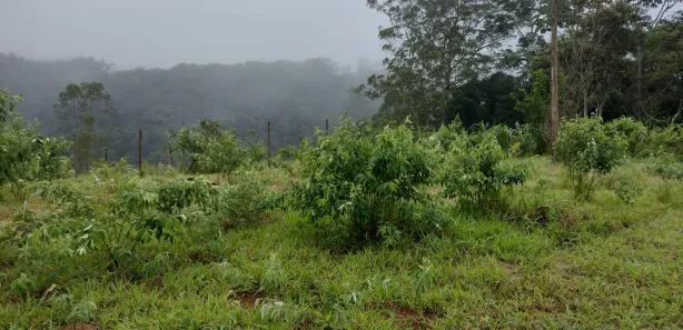 Fazenda / Sítio / Chácara com 4 Quartos à venda, 284m² no Mombaça, Itapecerica da Serra