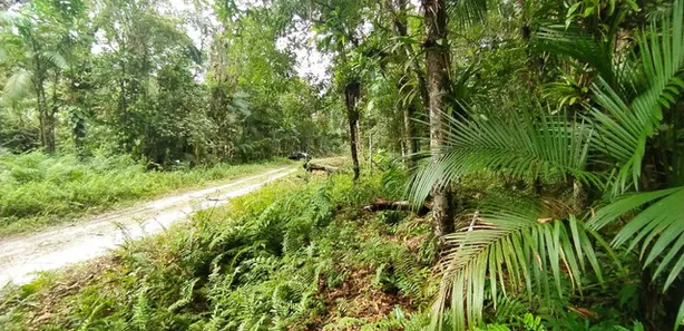 Terreno / Lote / Condomínio à venda, 5000m² no Jardim Ouro Fino, Paranaguá