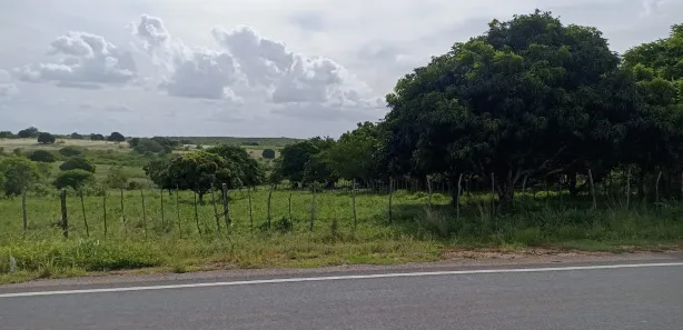 Fazenda / Sítio / Chácara à venda, 65000m² no Centro, Pilar