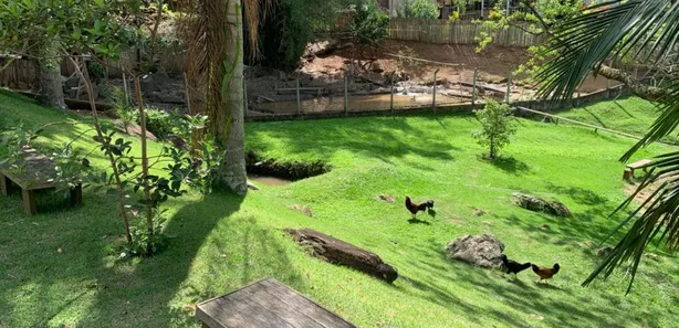 Fazenda / Sítio / Chácara com 2 Quartos à venda, 335m² no , Igaratá