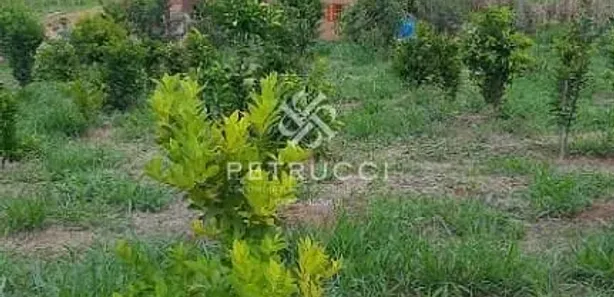Fazenda / Sítio / Chácara com 2 Quartos à venda, 5938m² no Bom Destino, Santa Luzia